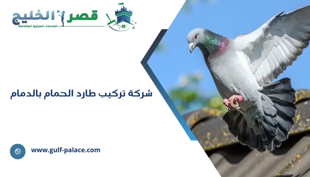 شركة تركيب طارد الحمام بالدمام