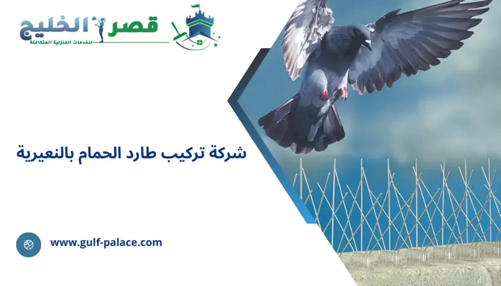 شركة تركيب طارد الحمام بالنعيرية