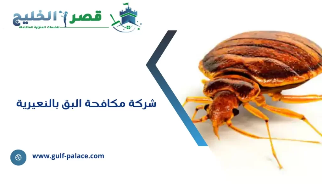 شركة مكافحة البق بالنعيرية