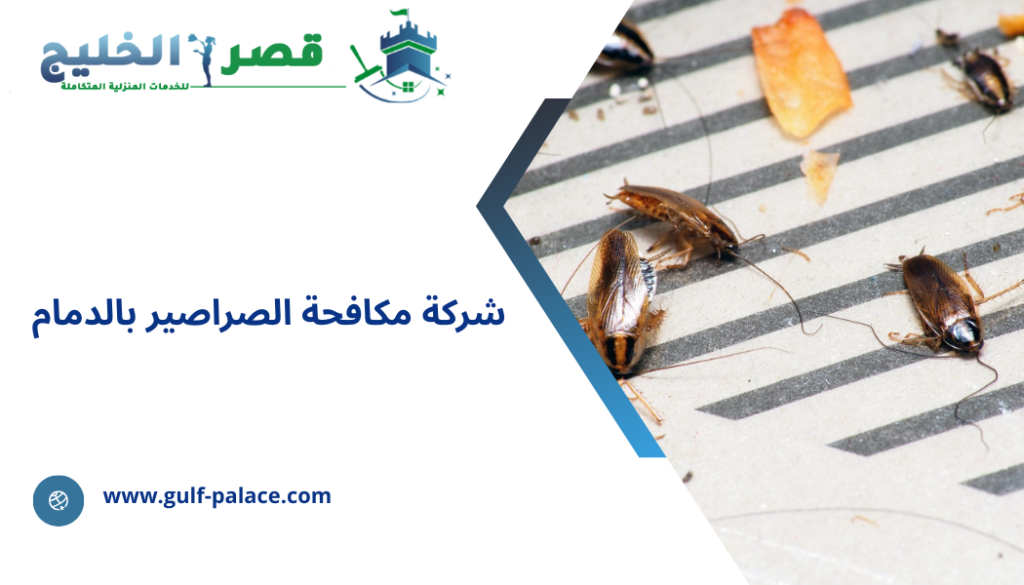 شركة مكافحة الصراصير بالدمام