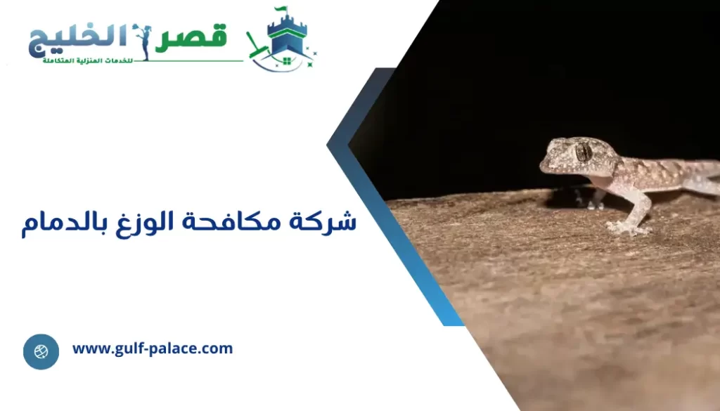 شركة مكافحة الوزغ بالدمام