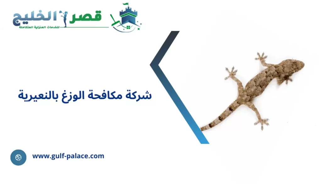 شركة مكافحة الوزغ بالنعيرية
