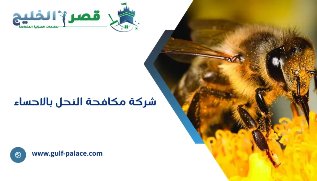 شركة مكافحة النحل بالاحساء