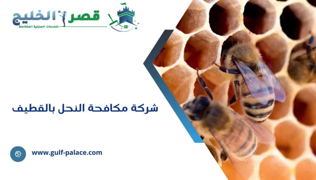 شركة مكافحة النحل بالقطيف