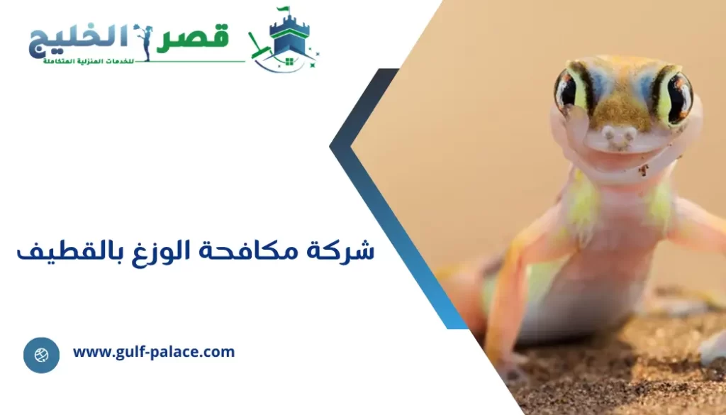 شركة مكافحة الوزغ  بالقطيف