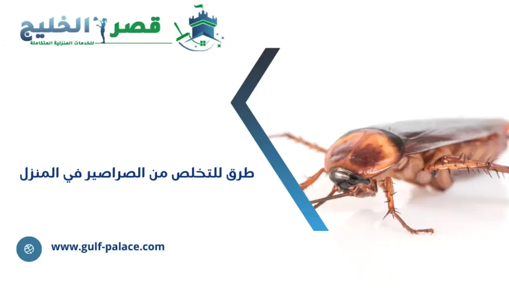 طرق للتخلص من الصراصير في المنزل