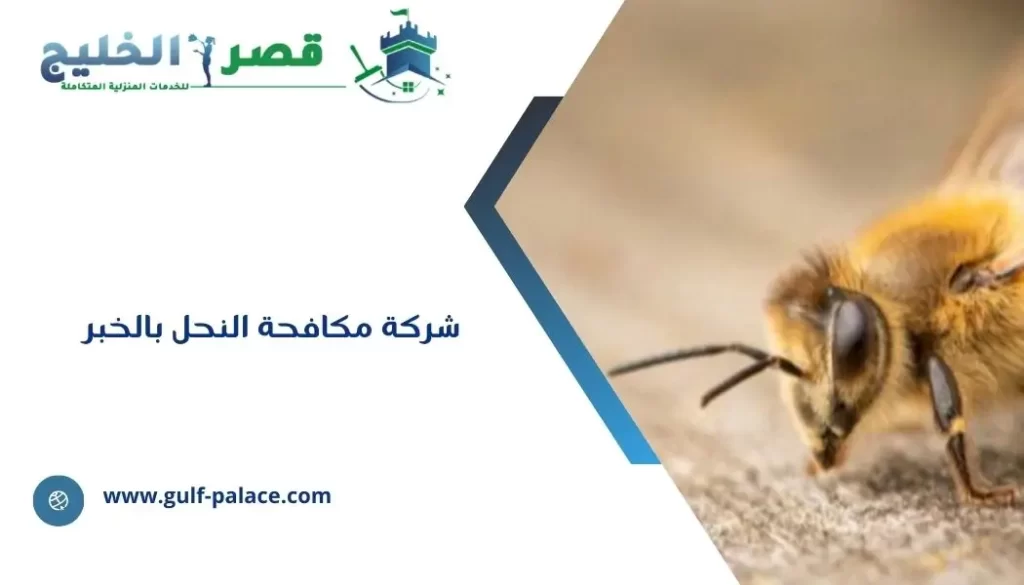 شركة مكافحة النحل بالخبر