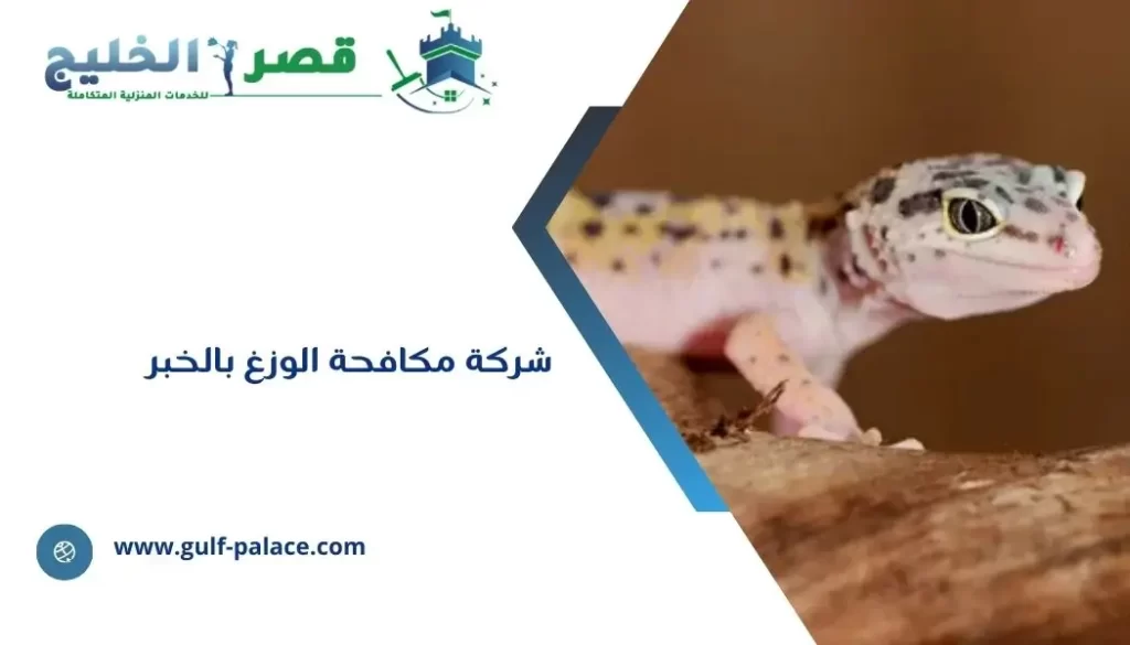 شركة مكافحة الوزغ بالخبر