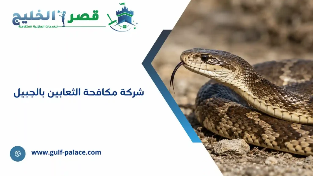 شركة مكافحة الثعابين بالجبيل