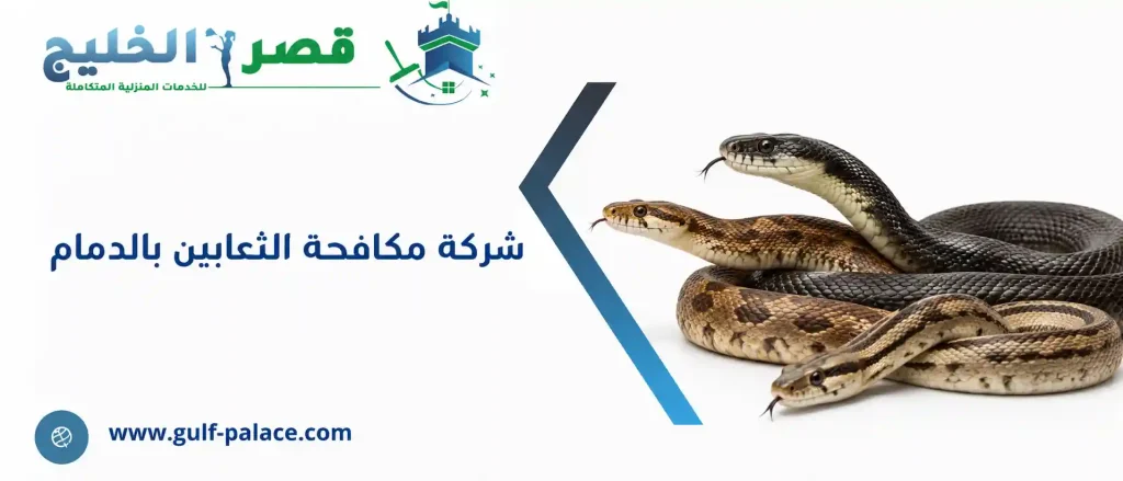 شركة مكافحة الثعابين بالدمام