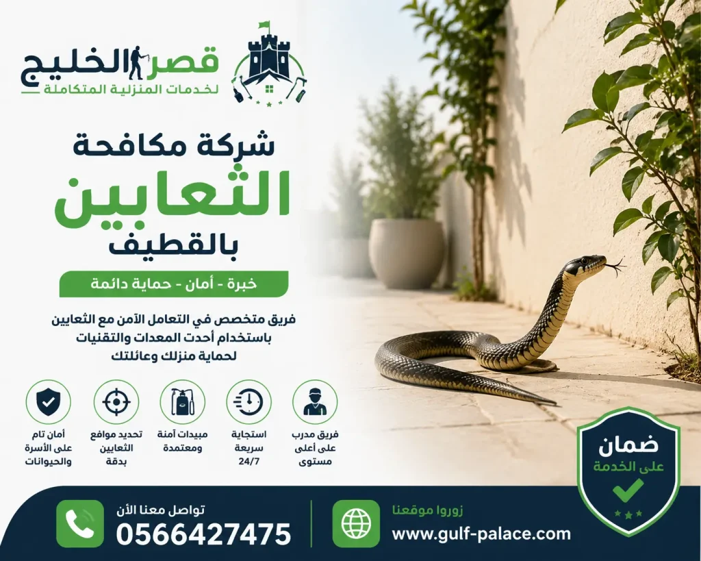 شركة مكافحة الثعابين بالقطيف